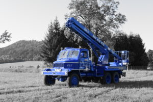 Rizikové kácení Jaroslav Šula