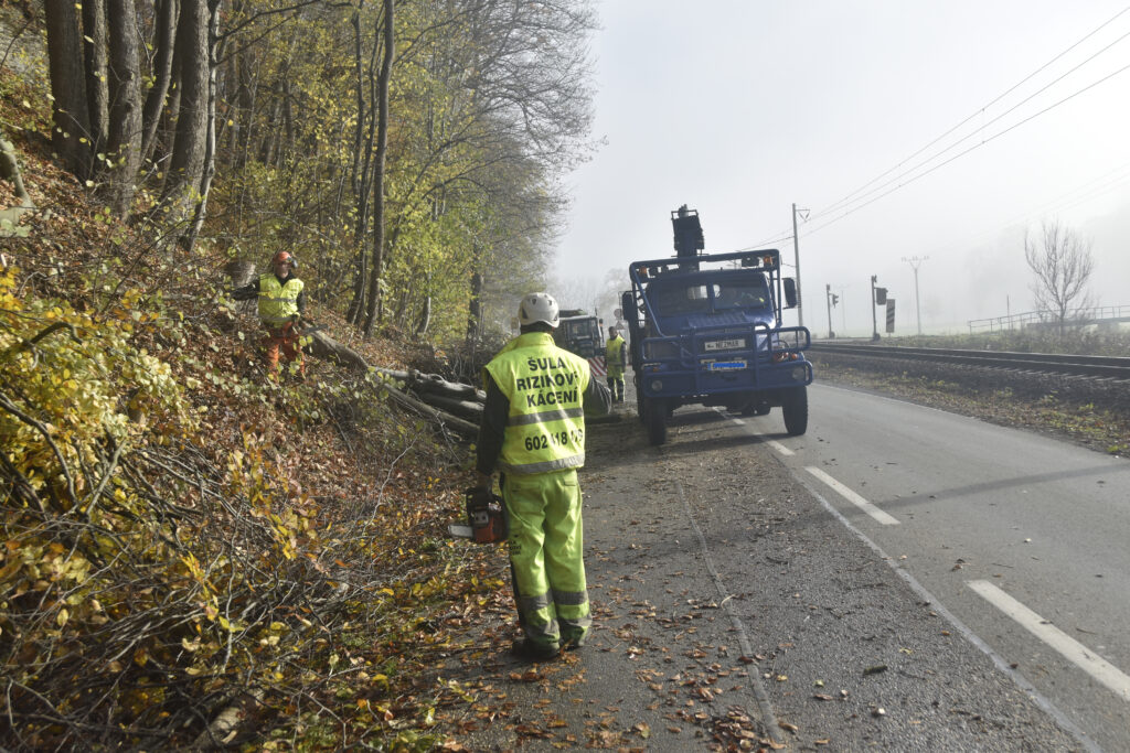 Ukázka kácení s rizikovým faktorem